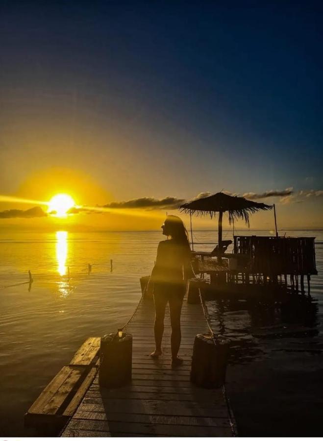 Victoria S Beach House And Snorkeling Center Flowers Bay 외부 사진