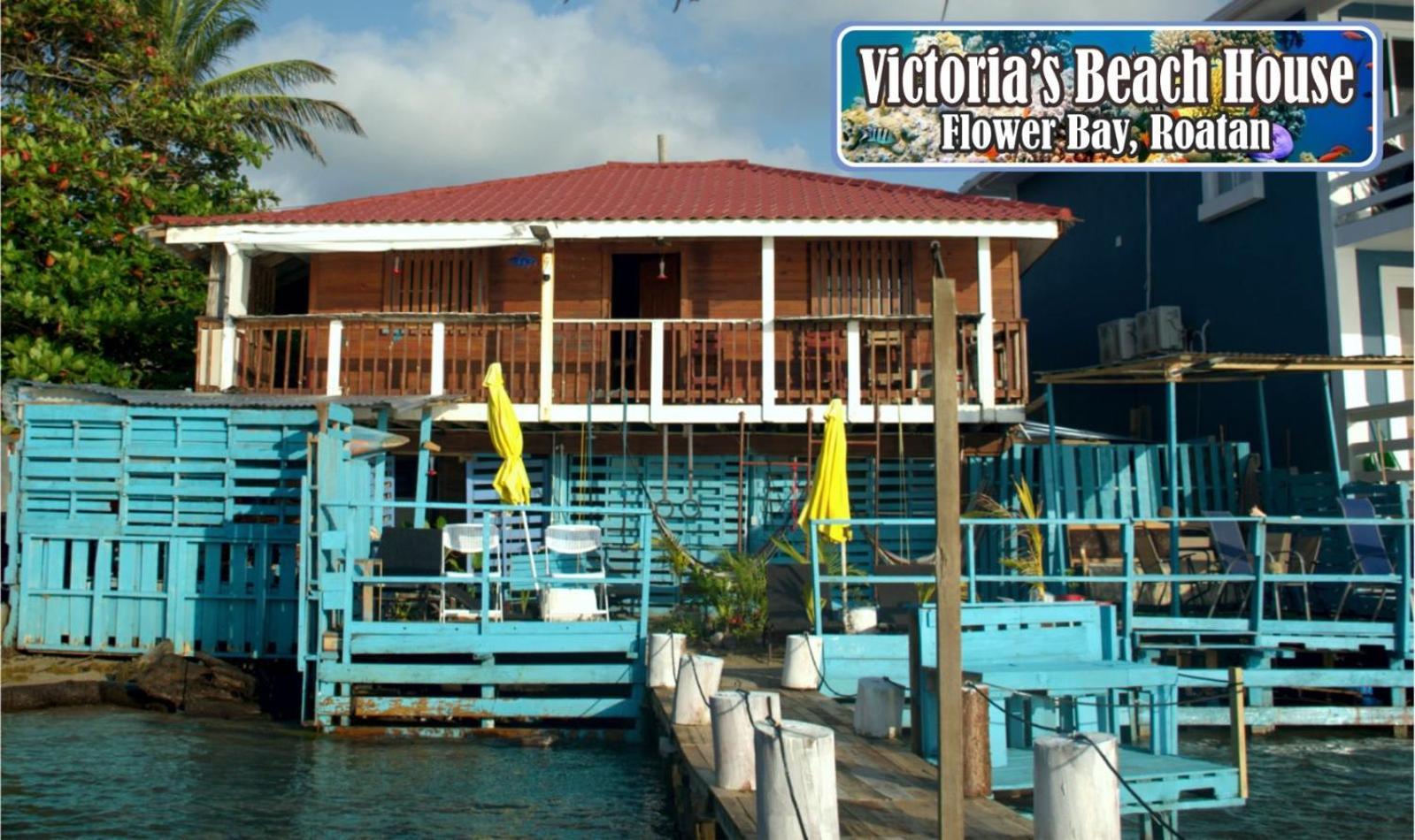 Victoria S Beach House And Snorkeling Center Flowers Bay 외부 사진